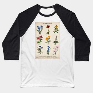 Vintage Floral Wildflower Illustrations Baseball T-Shirt